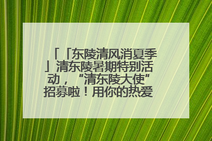 「东陵清风消夏季」清东陵暑期特别活动，“清东陵大使”招募啦！用你的热爱守护世界遗产！