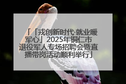 「戎创新时代·就业暖军心」2025年铜仁市退役军人专场招聘会暨直播带岗活动顺利举行