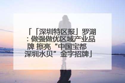 「深圳特区报」罗湖：做强做优区域产业品牌 擦亮“中国宝都 深圳水贝”金字招牌