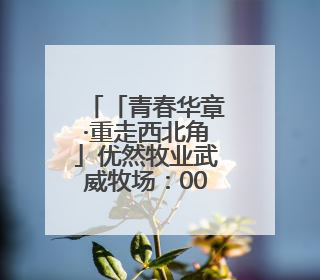 「青春华章·重走西北角」优然牧业武威牧场：00后“牛倌儿”李玉江