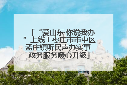 “爱山东·你说我办”上线！枣庄市市中区孟庄镇听民声办实事 政务服务暖心升级