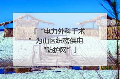 “电力外科手术”为山区织密供电“防护网”
