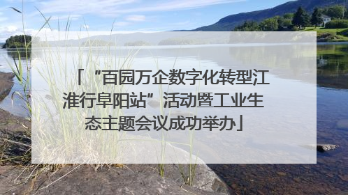 “百园万企数字化转型江淮行阜阳站”活动暨工业生态主题会议成功举办