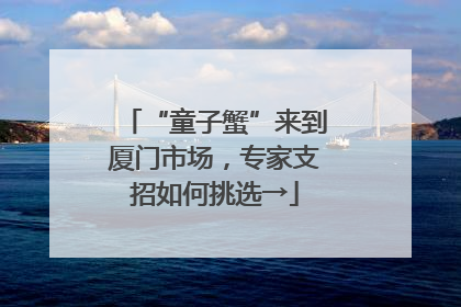 “童子蟹”来到厦门市场，专家支招如何挑选→