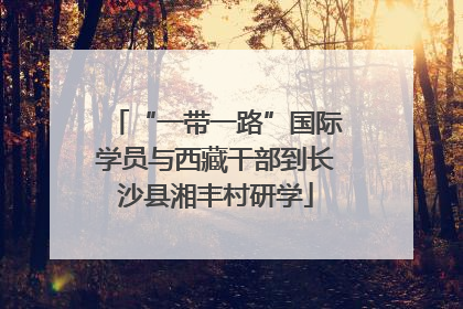 “一带一路”国际学员与西藏干部到长沙县湘丰村研学