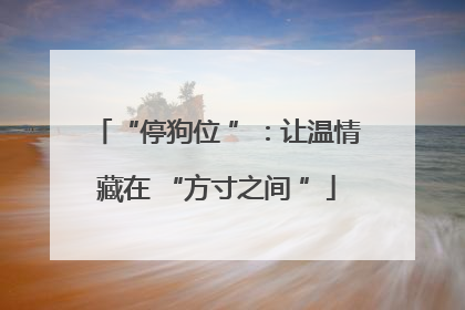 “停狗位 ”：让温情藏在 “方寸之间 ”