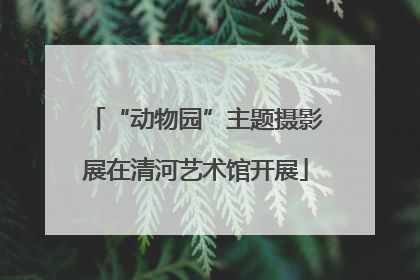 “动物园”主题摄影展在清河艺术馆开展