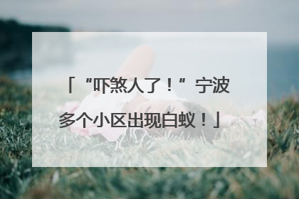 “吓煞人了！”宁波多个小区出现白蚁！