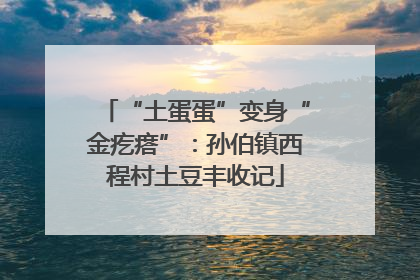 “土蛋蛋”变身“金疙瘩”：孙伯镇西程村土豆丰收记