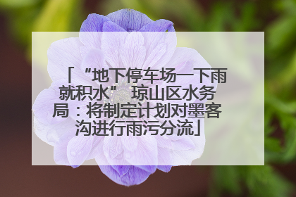 “地下停车场一下雨就积水” 琼山区水务局：将制定计划对墨客沟进行雨污分流