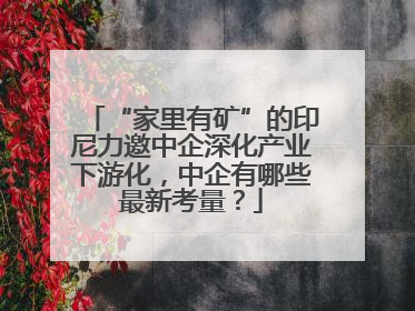 “家里有矿”的印尼力邀中企深化产业下游化，中企有哪些最新考量？