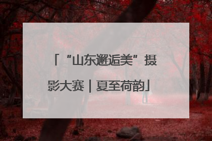 “山东邂逅美”摄影大赛｜夏至荷韵