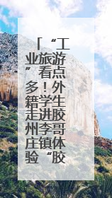 “工业旅游”看点多！外籍学生走进胶州李哥庄镇体验“胶州智造”