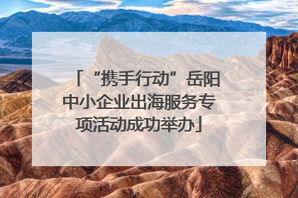 “携手行动”岳阳中小企业出海服务专项活动成功举办