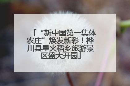 “新中国第一集体农庄”焕发新彩！桦川县星火稻乡旅游景区盛大开园