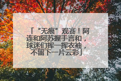 “无痕”观赛！阿连和阿苏握手言和，球迷们挥一挥衣袖，不留下一片云彩