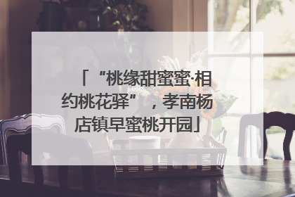 “桃缘甜蜜蜜·相约桃花驿”，孝南杨店镇早蜜桃开园