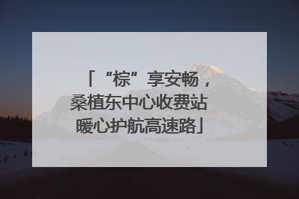 “棕”享安畅，桑植东中心收费站暖心护航高速路