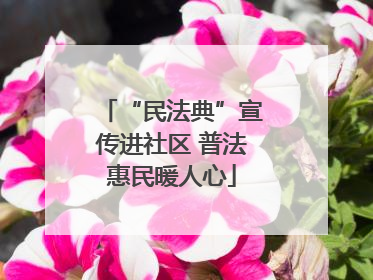 “民法典”宣传进社区 普法惠民暖人心