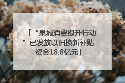 “泉城消费提升行动”已发放以旧换新补贴资金18.8亿元