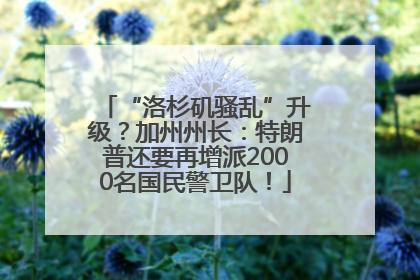 “洛杉矶骚乱”升级？加州州长：特朗普还要再增派2000名国民警卫队！