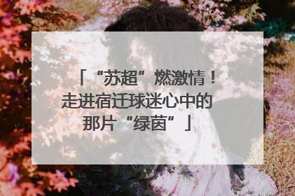 “苏超”燃激情！走进宿迁球迷心中的那片“绿茵”