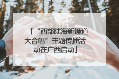 “西部陆海新通道大合唱”主题传播活动在广西启动