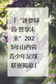 “逐梦绿茵·晋享未来”2025年山西省青少年足球联赛揭幕
