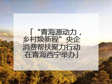 “青海源动力，乡村焕新程”央企消费帮扶聚力行动在青海西宁举办