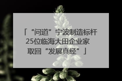 “问道”宁波制造标杆 25位临海大田企业家取回“发展真经”