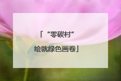 “零碳村” 绘就绿色画卷
