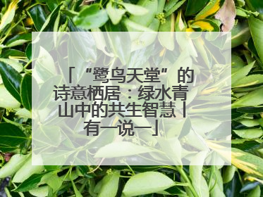 “鹭鸟天堂”的诗意栖居：绿水青山中的共生智慧丨有一说一