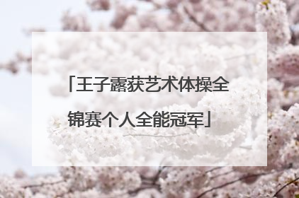 王子露获艺术体操全锦赛个人全能冠军