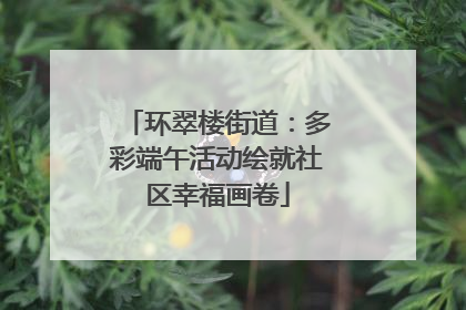 环翠楼街道：多彩端午活动绘就社区幸福画卷