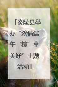 炎陵县举办“浓情端午‘粽’享美好”主题活动