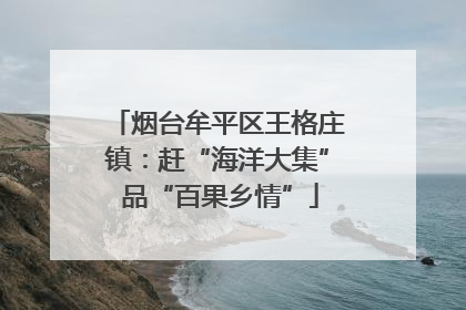 烟台牟平区王格庄镇：赶“海洋大集” 品“百果乡情”