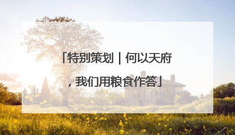 特别策划｜何以天府，我们用粮食作答