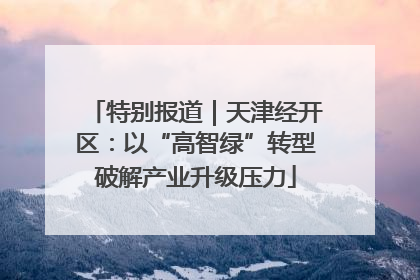 特别报道｜天津经开区：以“高智绿”转型破解产业升级压力