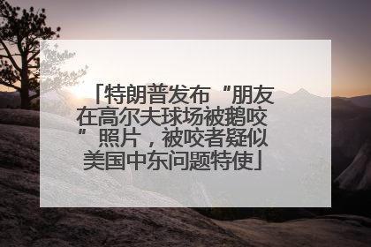特朗普发布“朋友在高尔夫球场被鹅咬”照片，被咬者疑似美国中东问题特使
