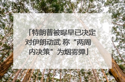 特朗普被曝早已决定对伊朗动武 称“两周内决策”为烟雾弹