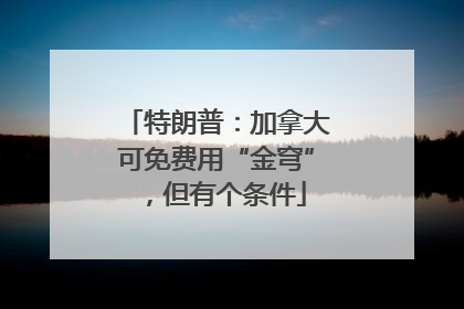 特朗普：加拿大可免费用“金穹”，但有个条件