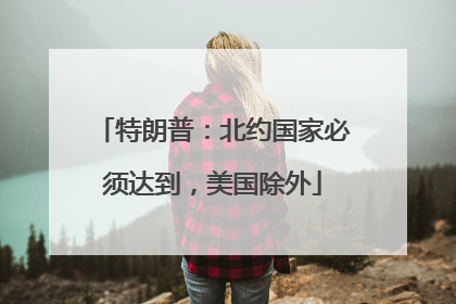 特朗普：北约国家必须达到，美国除外
