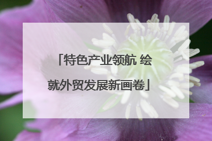 特色产业领航 绘就外贸发展新画卷