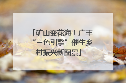 矿山变花海！广丰“三色引擎”催生乡村振兴新图景