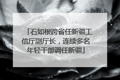 石如根跨省任新疆工信厅副厅长，连续多名年轻干部调任新疆
