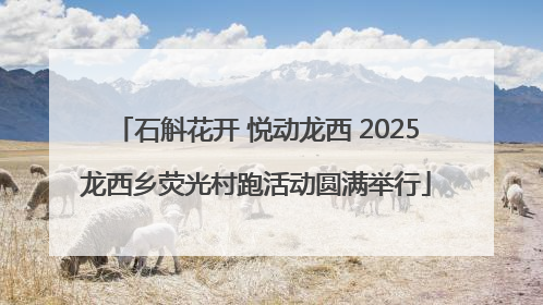 石斛花开 悦动龙西 2025龙西乡荧光村跑活动圆满举行