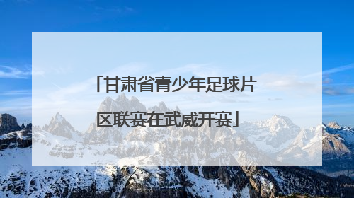 甘肃省青少年足球片区联赛在武威开赛