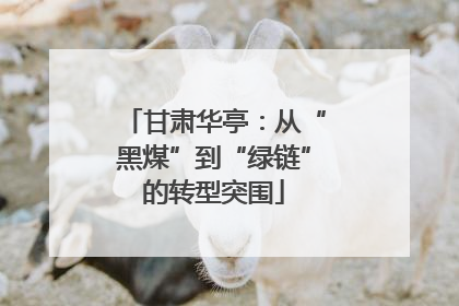 甘肃华亭：从“黑煤”到“绿链”的转型突围