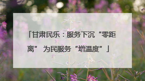 甘肃民乐：服务下沉“零距离” 为民服务“增温度”