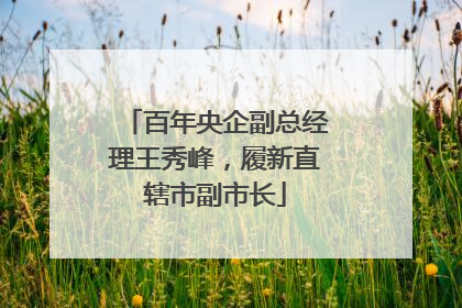百年央企副总经理王秀峰，履新直辖市副市长